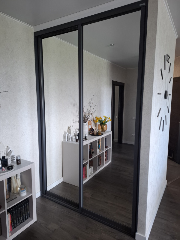 Дверные створки купе Зеркало (В.2464 Ш.1584) 2шт.