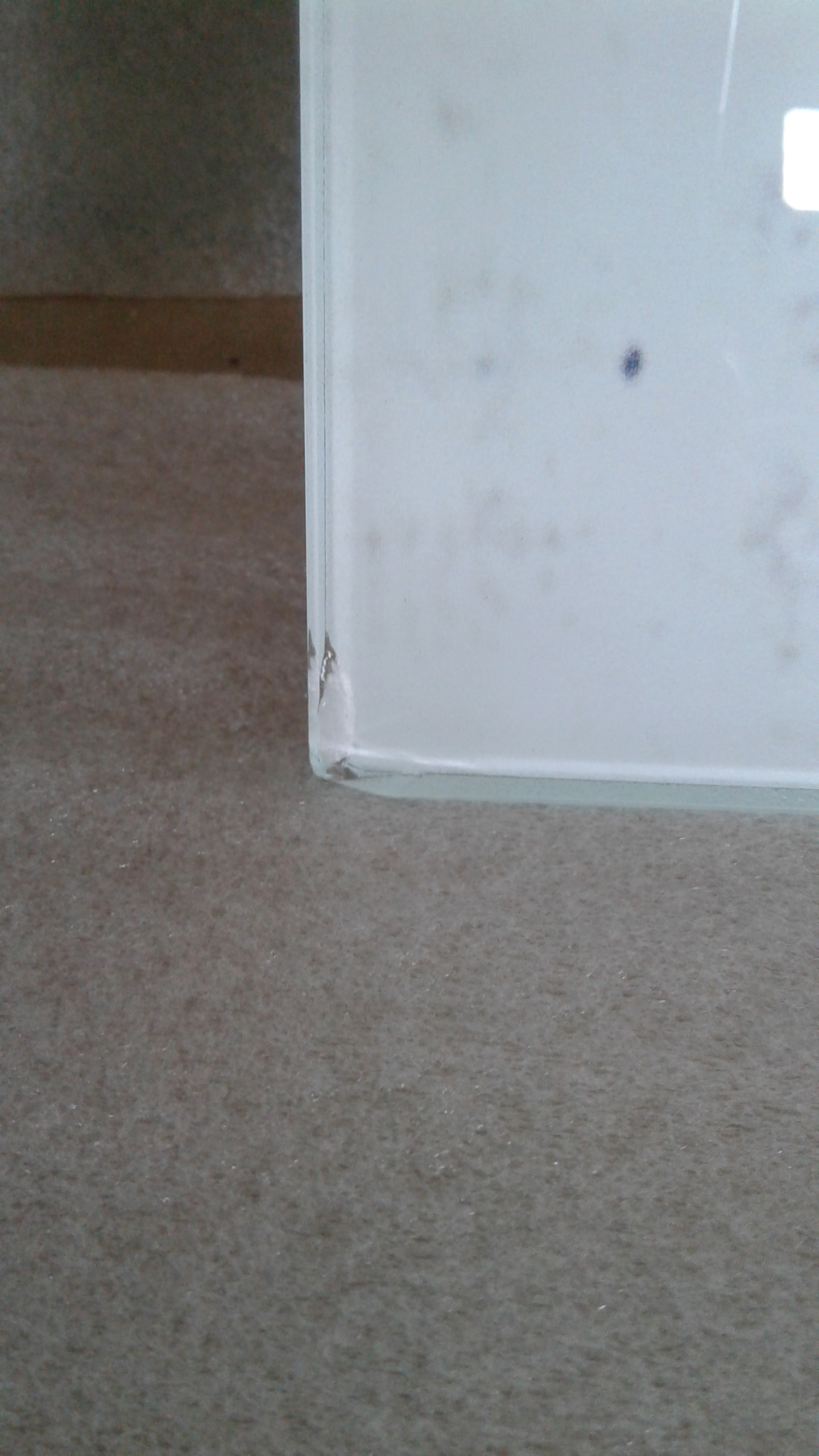 Стеновая панель Color Glass OPTIMA (1.462x0.558)  Стеновая панель Color Glass OPTIMA (1.462x0.558)